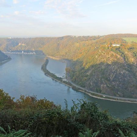 Roosartige Ferien - Ferienwohnung Am Weiherturm Bacharach Eksteriør bilde