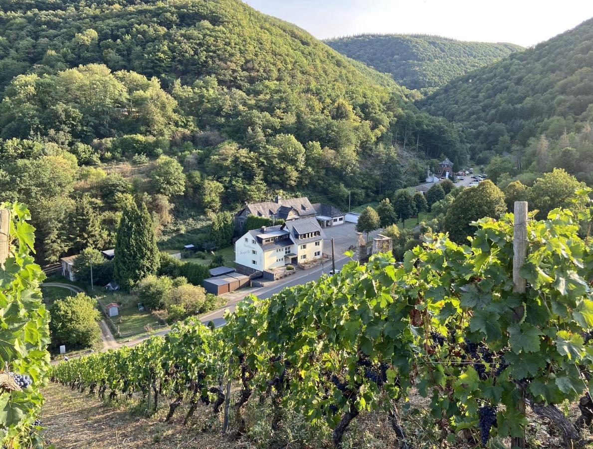 Roosartige Ferien - Ferienwohnung Am Weiherturm Bacharach Eksteriør bilde